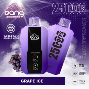 Bang 25000 Puffs Bulk Buy 650mAh Rechargeable 0% 2% 3% 5% Nicotine Disposable Vapes Pen Wholesale 2