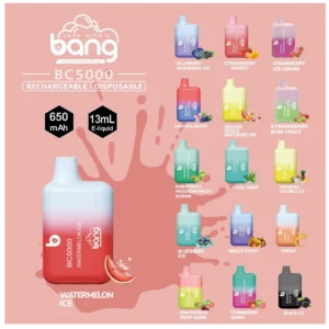 Excellent Quality Bang BC5000 Box 5000 Puffs Vape 0% 2% 3% 5% Nicotine Bulk Buy Disposable Vape Wholesale 1