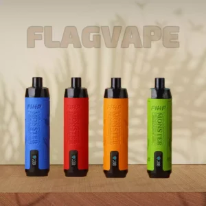 FIHP Shisha Hookah 12000 Puffs: Rechargeable, Portable, and Equipped with LED Display