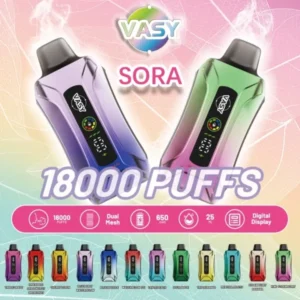 Vasy Disposable Vapes