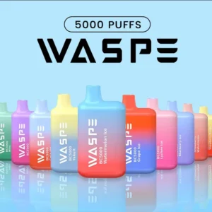 WASPE 5000 PUFFS Disposable Vape Pen 0% 2% 3% 5% Nicotine with 13ml Capacity Mesh Coil Type-C Wholesale Buying 1