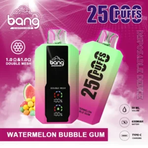 Bang 25000 Puffs Bulk Buy 650mAh Rechargeable 0% 2% 3% 5% Nicotine Disposable Vapes Pen Wholesale 1