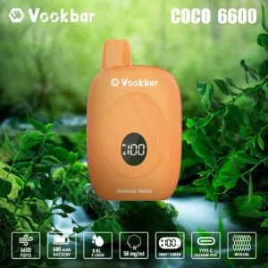 Original Factory Vookbar COCO 6600 Puffs Wholesale Disposable Vapes 3% Low Nicotine Rechargeable Digital Smart Sc (3)